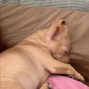 Meet your Posher, Bethany